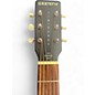 Used Gretsch Guitars JIM DANDY DELTOLUXE BLACK Acoustic Electric Guitar