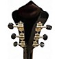 Used Recording King RR41EVS Vintage Sunburst Resonator Guitar