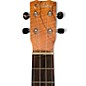 Used Cordoba 24t Natural Ukulele