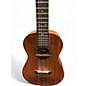 Used Cordoba MINI Mahogany Acoustic Guitar