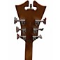 Used D'Angelico DAPEXL Mocha Hollow Body Electric Guitar