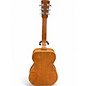 Used Tut Taylor Resophonic Virginian Natural Resonator Guitar