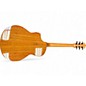 Used Washburn BTS9VCECH BROWN BURST Acoustic Electric Guitar
