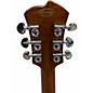 Used Agile CUSTOM HARM Gold Hollow Body Electric Guitar