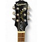 Used Epiphone 1960 Tribute Plus Rainbow Solid Body Electric Guitar