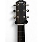 Used Taylor 214ce Plus Special Edition Grand Auditorium Maple Acoustic Guitar