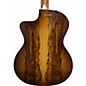 Used Taylor 214ce Plus Special Edition Grand Auditorium Maple Acoustic Guitar