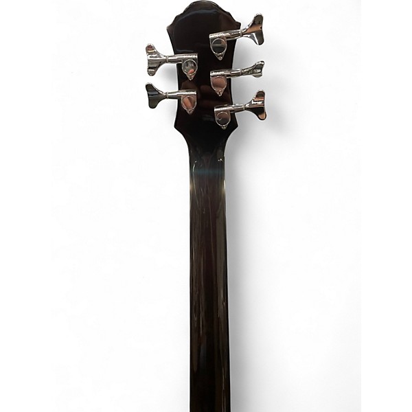 Used Michael Kelly dragonfly 5fl Trans Black Acoustic Bass Guitar