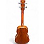 Used Ibanez PNB14E Natural Acoustic Bass Guitar