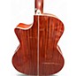 Used Washburn Deep Forest Burl Amber fade Acoustic Electric Guitar