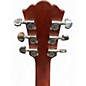 Used Washburn Deep Forest Burl Amber fade Acoustic Electric Guitar