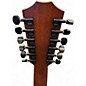Used Taylor 362ce Mahogany 12 String Acoustic Electric Guitar