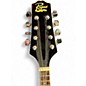 Used Rogue RM100-A Sunburst Mandolin