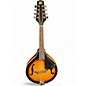 Used Rogue RM100-A Sunburst Mandolin