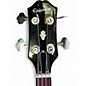 Used Epiphone EB  RED Electric Bass Guitar