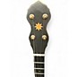 Used Pisgah Banjo Co WHYTE LAYDIE Natural Banjo