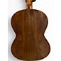 Used Vicente Torres 55 Natural Classical Acoustic Guitar