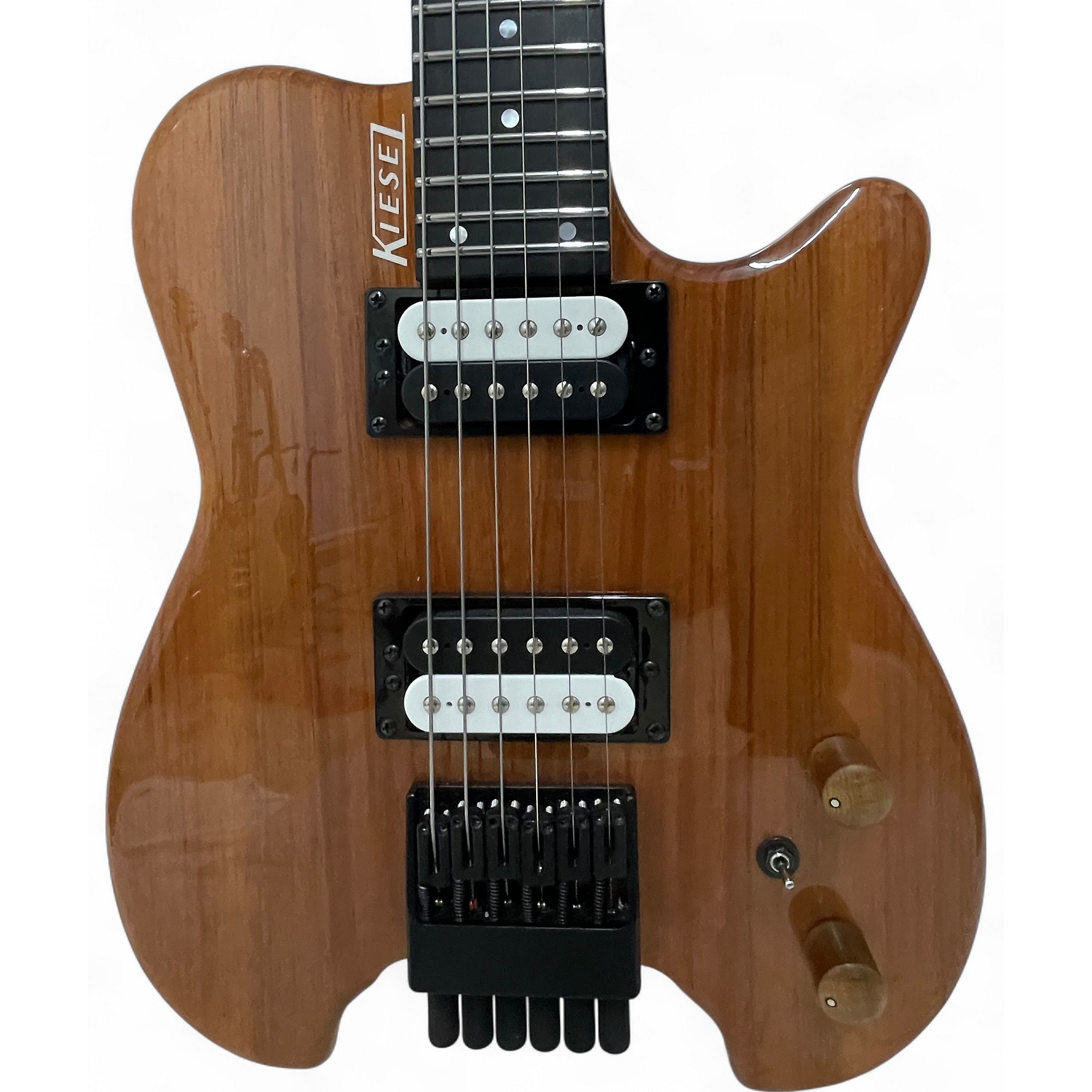 ギター Kiesel Allan Holdsworth HH2 Allan Holdsworth Signature