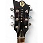 Used Reverend SENSEI HB Honey Burst Solid Body Electric Guitar