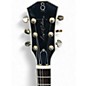 Used Sire Larry Carlton L7 Black and Gold Solid Body Electric Guitar