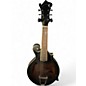 Used Gold Tone F-6 Brown Sunburst Mandolin thumbnail