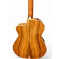 Used Taylor 214cek DLX Natural Acoustic Guitar