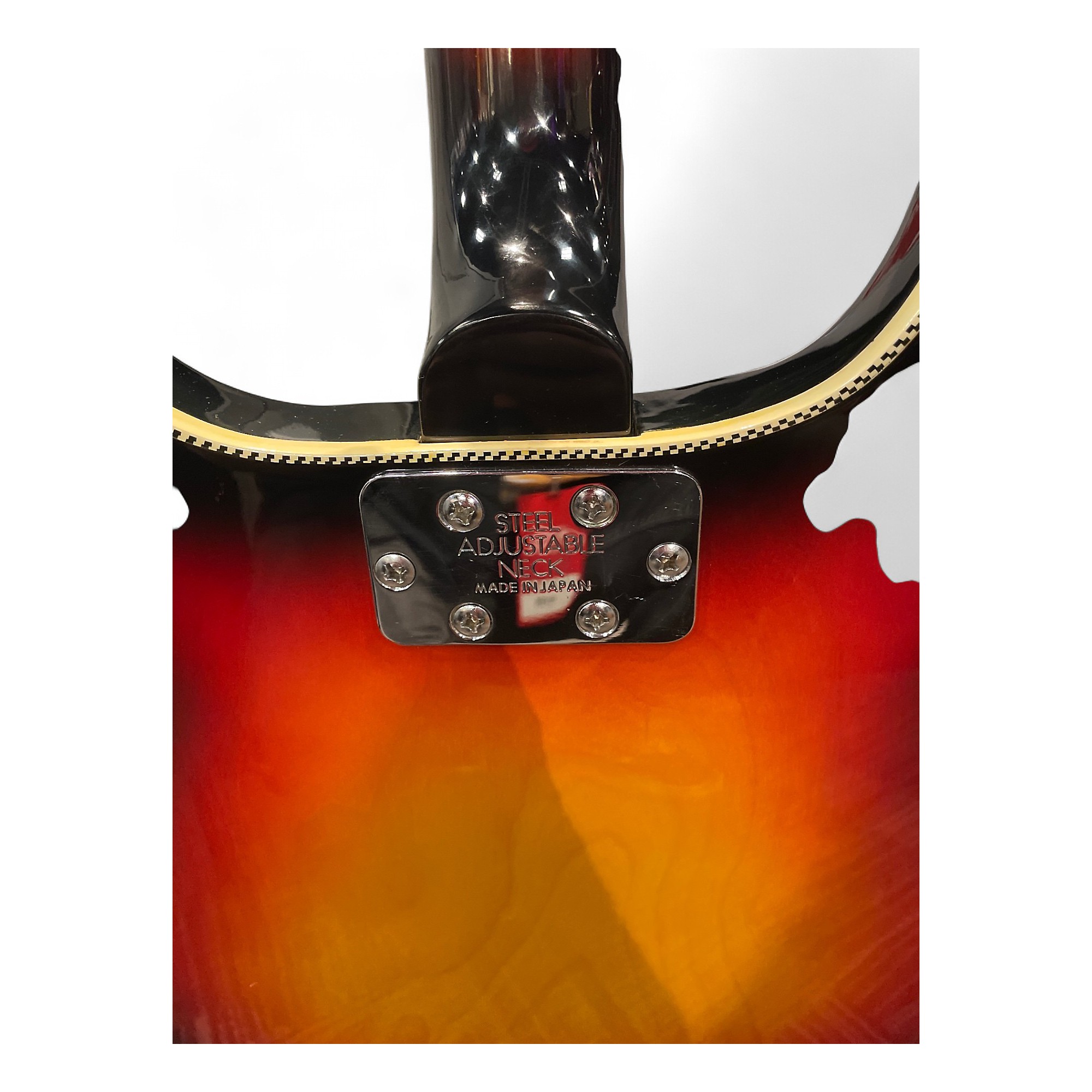 オールウェーブ　コココ Used ENCORE 1966 MIJ 12 String Rickenbacker Copy Sunburst