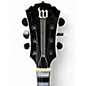 Used Wylde Audio Odin Tobacco Burst Solid Body Electric Guitar