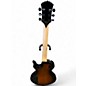 Used Wylde Audio Odin Tobacco Burst Solid Body Electric Guitar