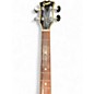 Used 1960s Greco ROSEWOOD Walnut Electric Bass Guitar