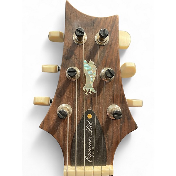 Used PRS Paul's Guitar Experience 2018 Black Gold Solid Body Electric Guitar