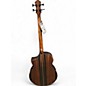 Used Michael Kelly Dragonfly 4 Port JAVA Acoustic Bass Guitar
