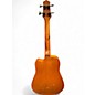 Used Gold Tone MICRO BASS Natural Acoustic Bass Guitar