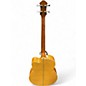 Used Michael Kelly MKDF4 Natural Acoustic Bass Guitar