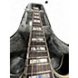 Used D'Angelico EXCELL DC BLACK DOG Hollow Body Electric Guitar
