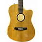 Used LR Baggs AEG-1 Torrefied Sitka Spruce Acoustic Guitar