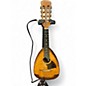Used Top Herwiga Solist Vintage Natural Mandolin thumbnail