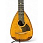 Used Top Herwiga Solist Vintage Natural Mandolin