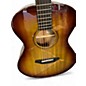 Used Breedlove EARTHSONG LTD 2 Color Sunburst Acoustic Guitar
