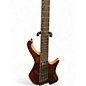Used Ibanez EHB1265MS Walnut Electric Bass Guitar