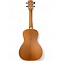 Used Alvarez GDU26C Montage MULTICOLORED Ukulele