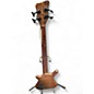 Used Warwick Thumb 4 String Bolt-On Brown Electric Bass Guitar