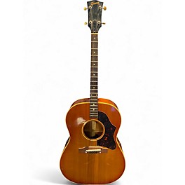 Vintage 1964 Gibson TG-25 SUNBURST Acoustic Guitar