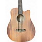 Used Gold Tone MBASS 25 Mahogany Acoustic Bass Guitar