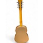 Used 1998 National Polychrome Tricome Gray Resonator Guitar