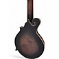 Used Gold Tone F-12 BROWN BURST Mandolin