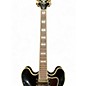 Used Epiphone Sheridan II Pro Ebony Hollow Body Electric Guitar