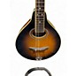 Used Gold Tone GM-50+ 2 Color Sunburst Mandolin