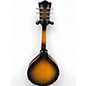 Used Gold Tone GM-50+ 2 Color Sunburst Mandolin
