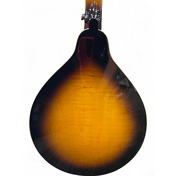 Used Gold Tone GM-50+ 2 Color Sunburst Mandolin